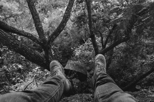 Point of View