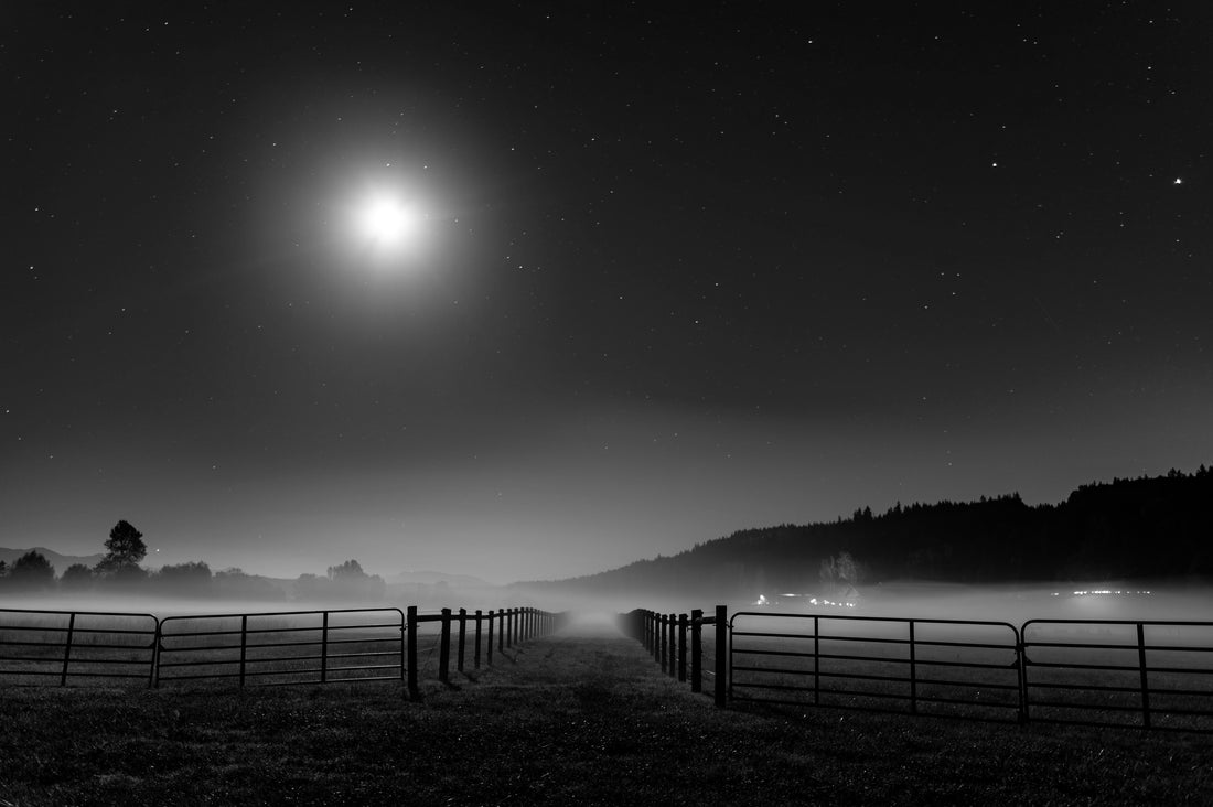 Setting