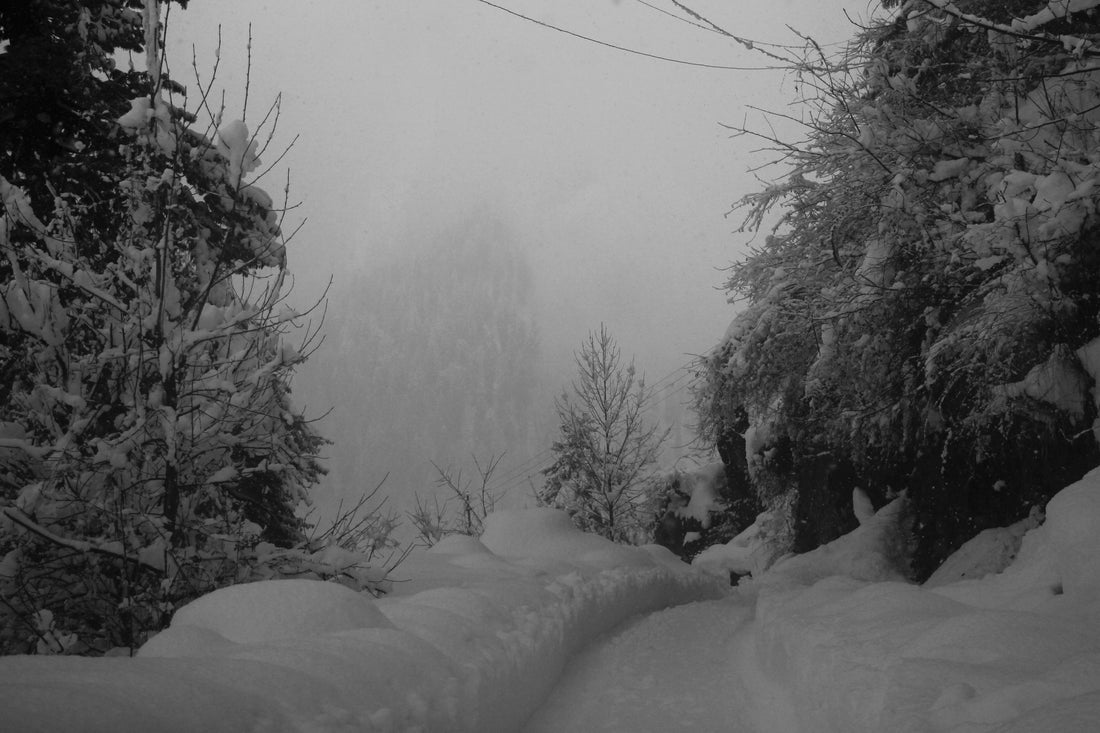 The Shining