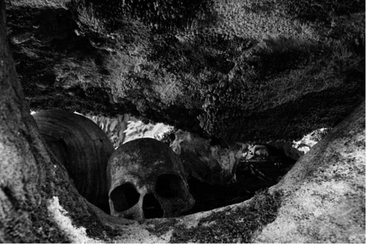 Old Bones