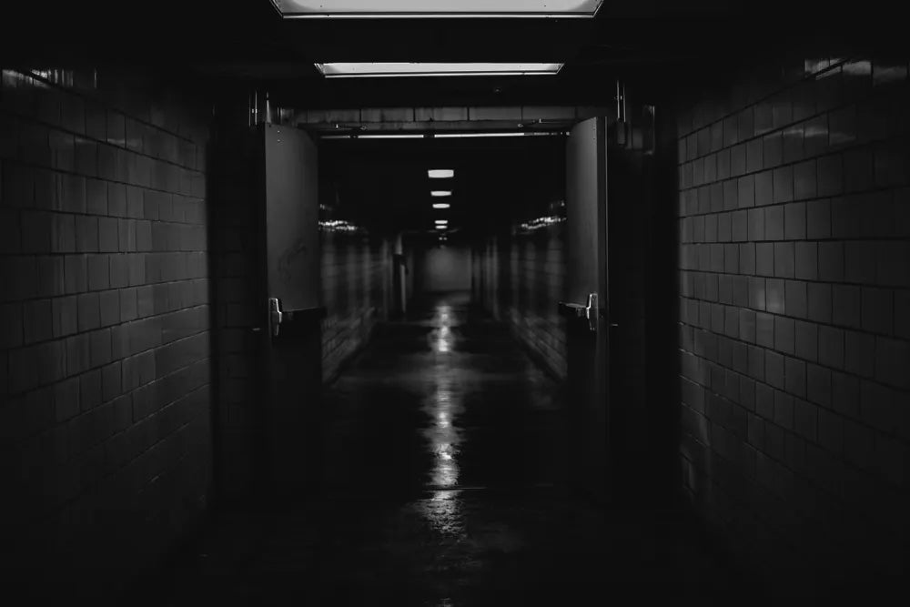The Institute by Stephen King