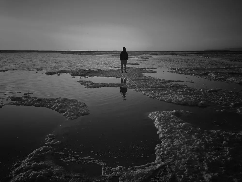 Terminal Freeze by Lincoln Child
