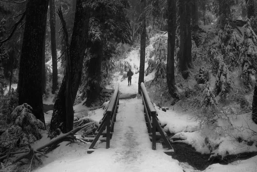 Suicide Forest by Jeremy Bates